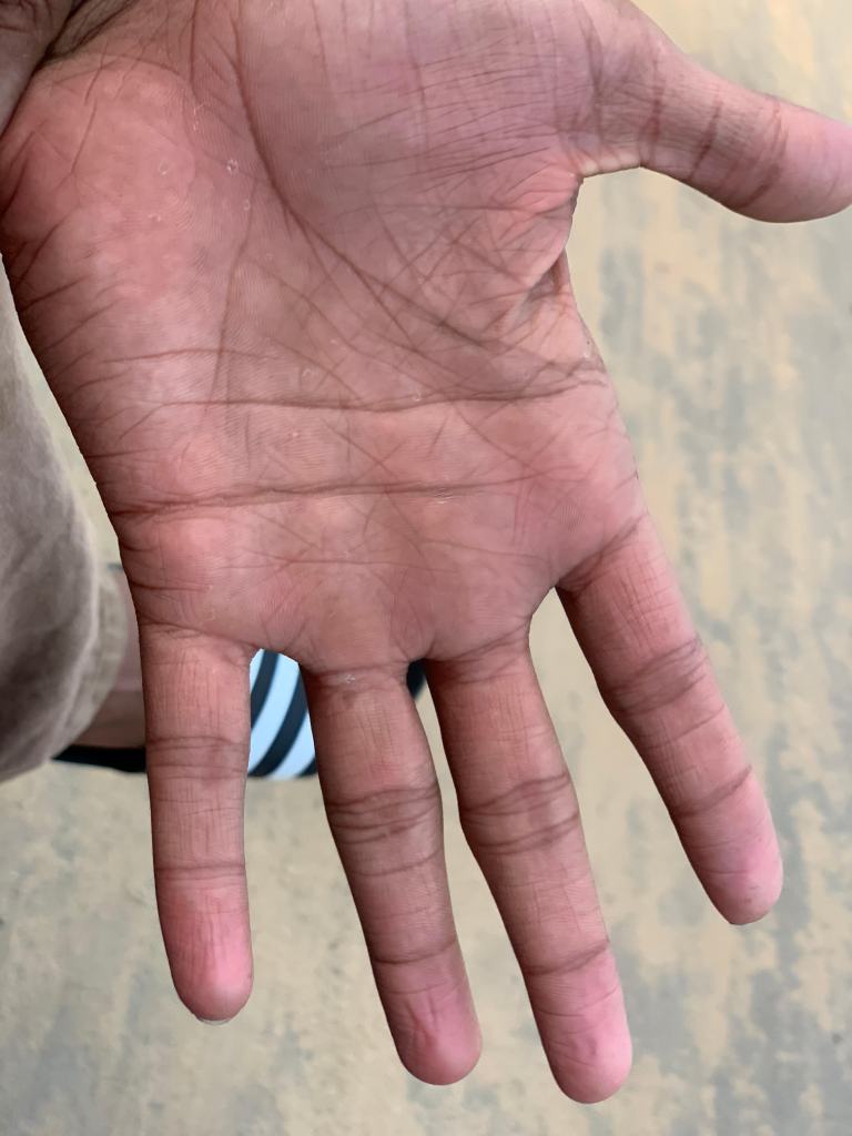 my palm.jpg